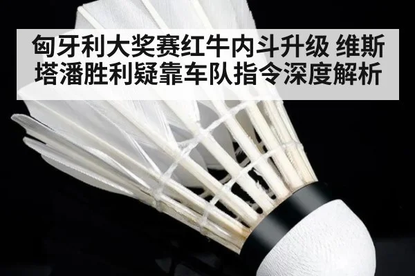 匈牙利大奖赛红牛内斗升级 维斯塔潘胜利疑靠车队指令深度解析